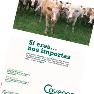 agencia de publicidad en Logroño