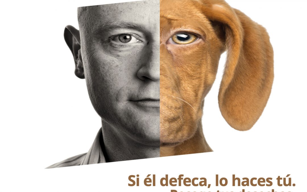 Ayuntamiento de Cadreita – perro